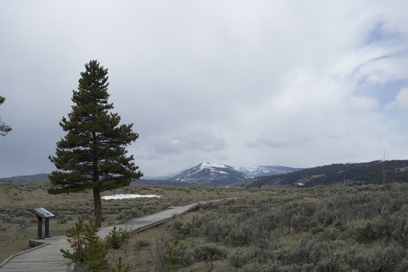 The views from the boardwalk are really nice, even in the early spring.