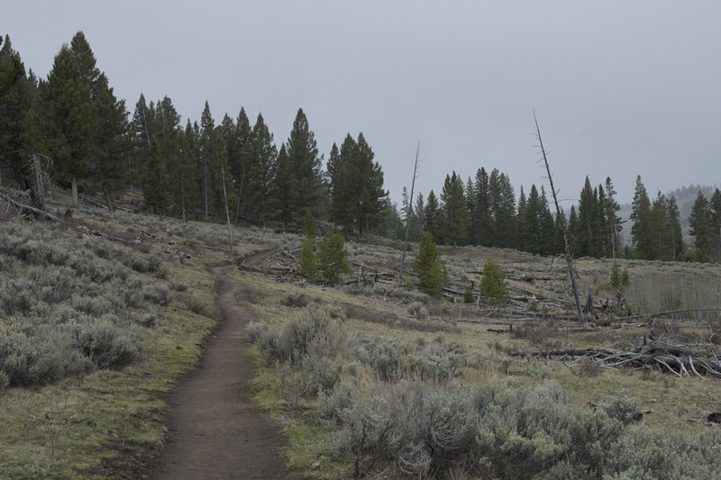 The trail climbs gently uphill on the edge of the forest toward Wraith Falls.