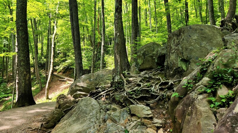 View from the trail.