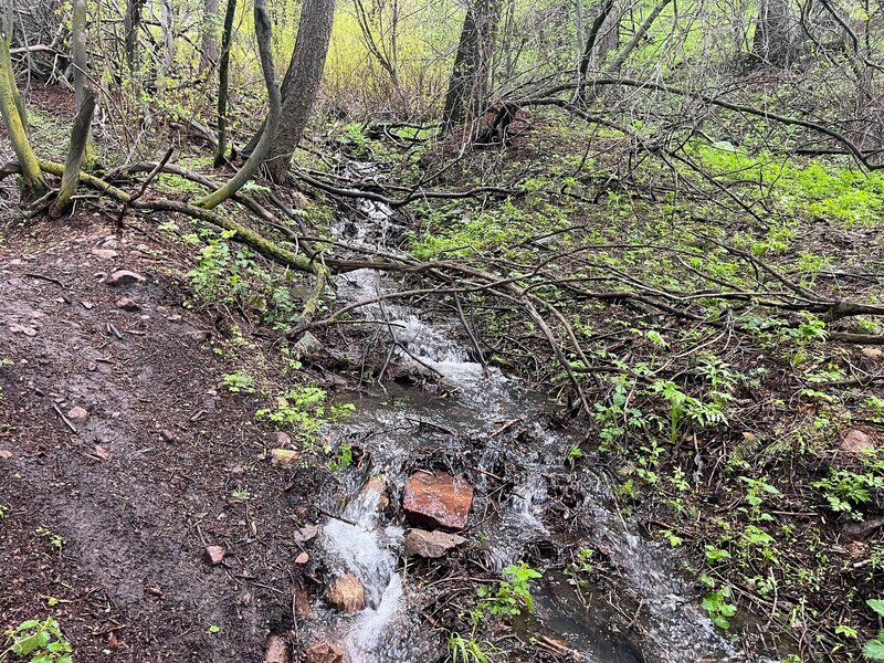 Creek crossing on the Lower Green Dragon Trail