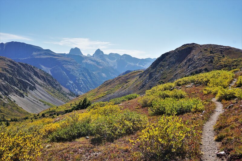 Trail heading down towards Verde Lake from CDT (Part of the Highland Mary Lakes loop), with great views of the Grenadier Range in back.