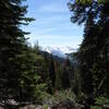 past Merten's campground on way to Alta Peak.