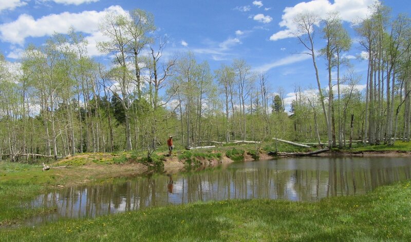 Stock pond at the top of the trail. Parking near by for a possble long car shuttle.