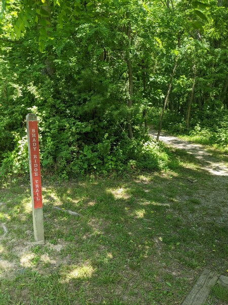 Shady Ridge tail marker near the trailhead.