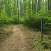 Claytor Lake trail sign