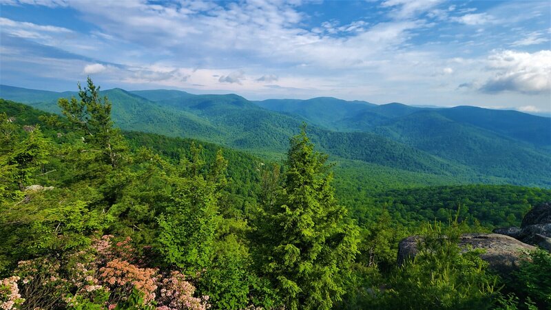 View from the trail