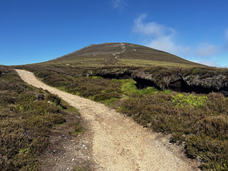 Doubletrack trail running up to Ben Rennis summit