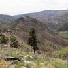 View of Hewlett Gulch Trailhead on Colorado 14 from Greyrock Meadows Trail