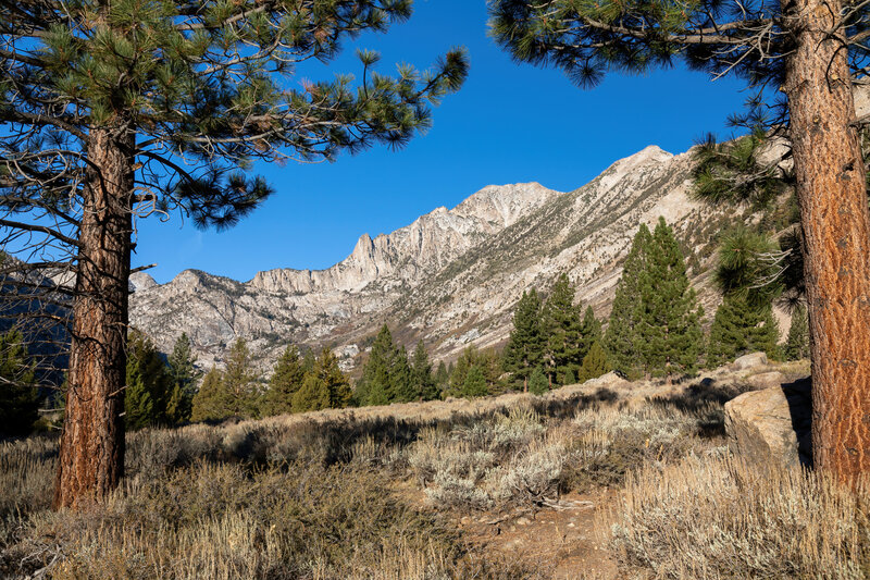 Hiking through the lower parts of Robinson Creek Canyon on the way to Barney Lake.