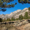 Hiking through the lower parts of Robinson Creek Canyon on the way to Barney Lake.