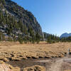 Between Kerrick Meadow and the Pacific Crest Trail.