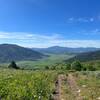 The green pastures of the upper Portneuf River, seen from the Boundary Trail.