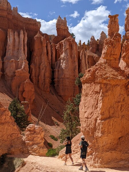 Down Queens Garden trail - start of the hoodoo section