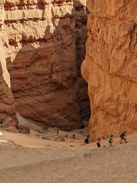 Near the top of the Navajo Loop Trail