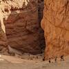 Near the top of the Navajo Loop Trail