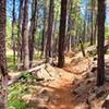 Beautiful open Trail between the meadow on the left and the lava rock outcroppings on the right.