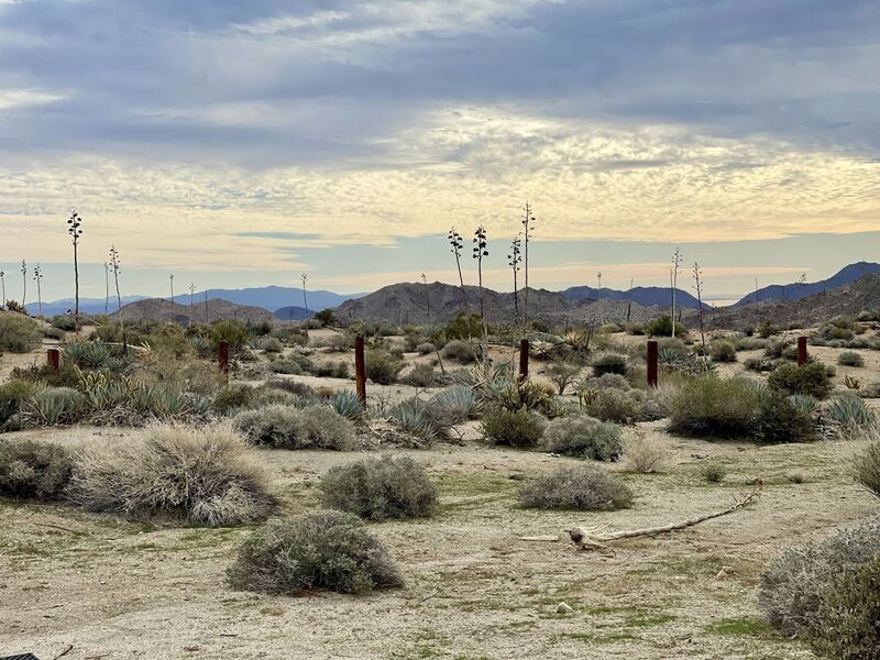 Picnic area. Junction of Dunn Road and Art Smith Trails