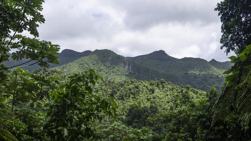 View to El Yunque Peak