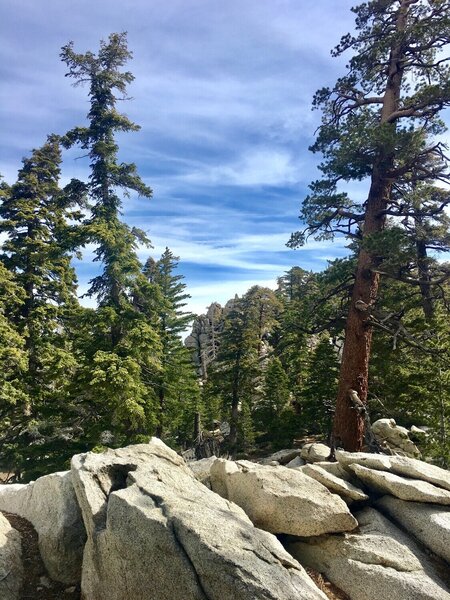 Round Valley Loop Trail