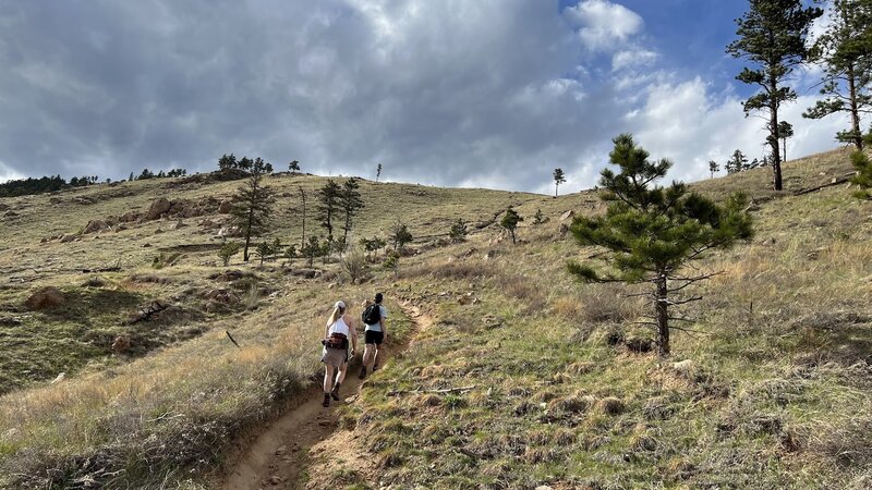 Climbing a fairly steep part about halfway up the Saddle Trail East #842.