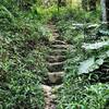 Some steps along the Warrie Circuit. There was a lot of work put into this track.