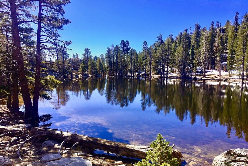 Hidden Lake (vernal lake; only present in late Winter and early Spring)