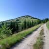 Looking back to North Baldy while walking the road back to the Icy Springs Trailhead.