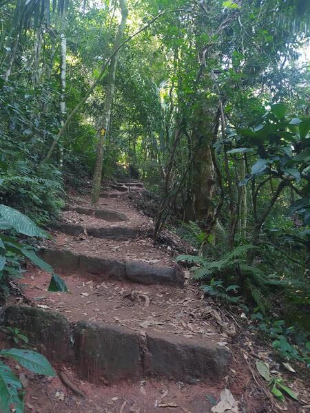 Much of the first part of the trail follows well-constructed stairs.