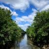 Looking down the Willow River from the bridge at Willow Falls.