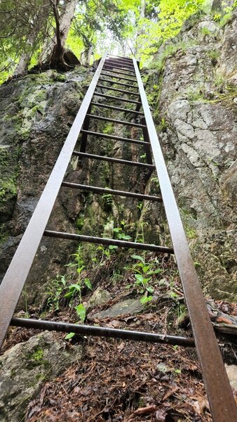 One of the largest ladders near the very end of the trail just shy of the summit.