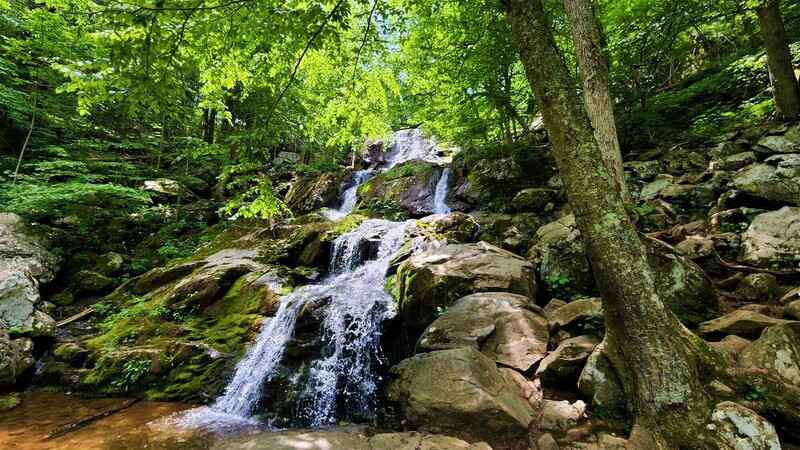 View from the trail