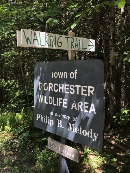 Town of Dorchester Wildlife Area