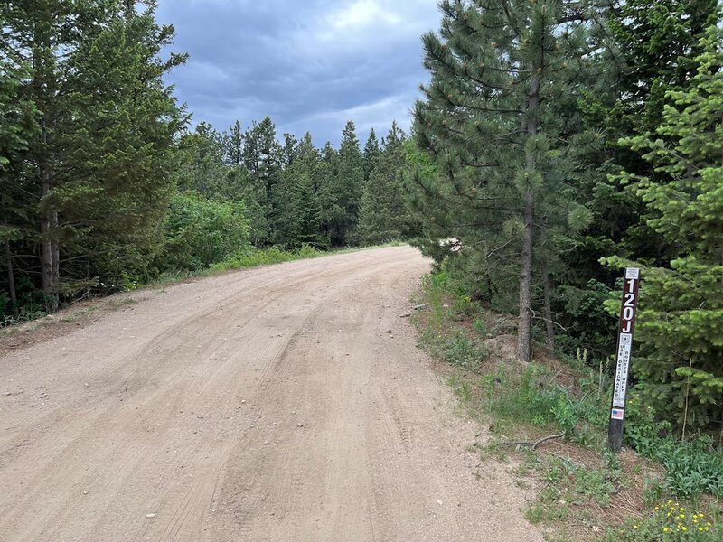 Start of Switzerland Trail OHV road from Sugarloaf Mountain Trailhead.