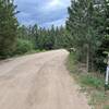 Start of Switzerland Trail OHV road from Sugarloaf Mountain Trailhead.