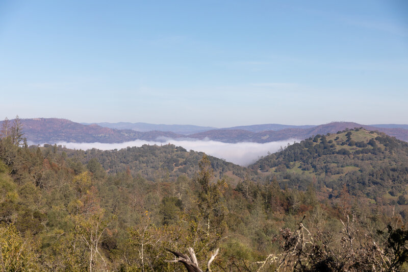 Low hanging clouds over Lake Berryessa as seen from Las Posadas State Forest.