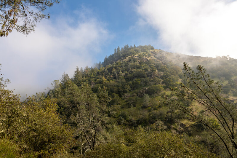 The clouds are finally breaking up over Moore Creek Park.