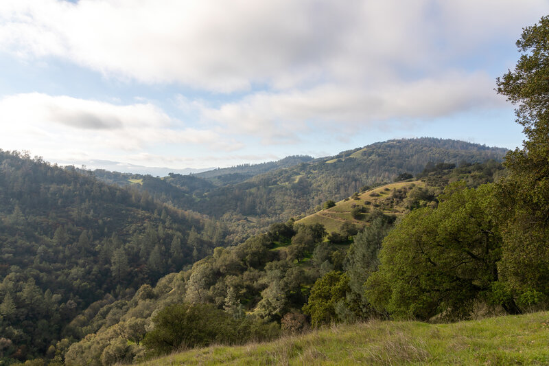 View north from Valentine Vista Trail