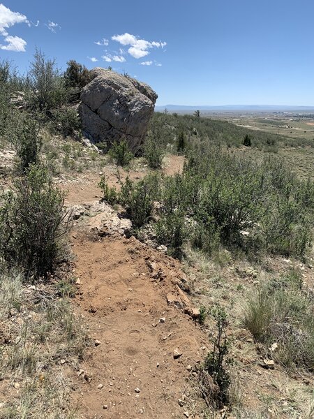 Geologic features along Trail 2