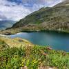 Wildflowers ringing Lac du Brevent