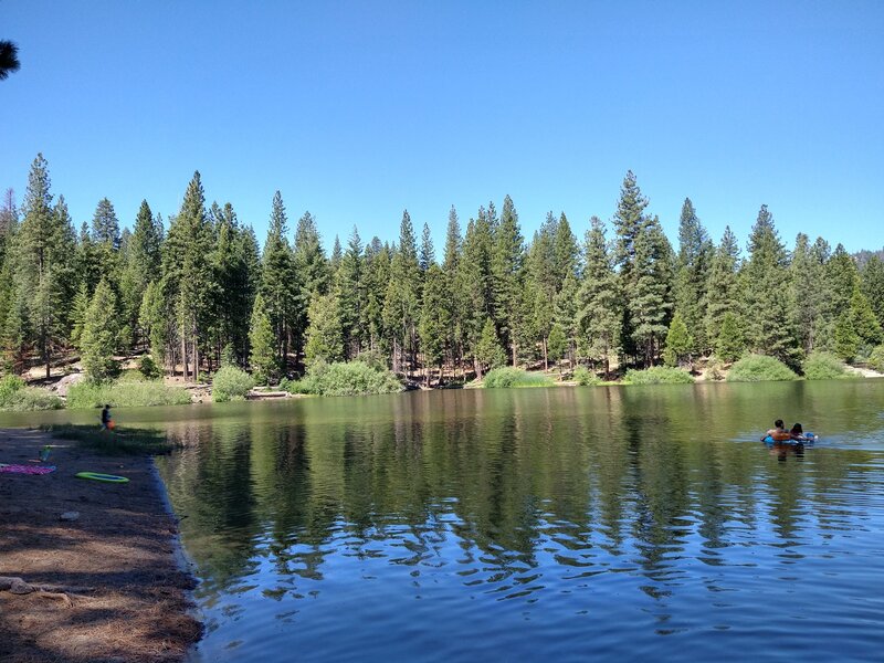 Views of the forest off the lake.