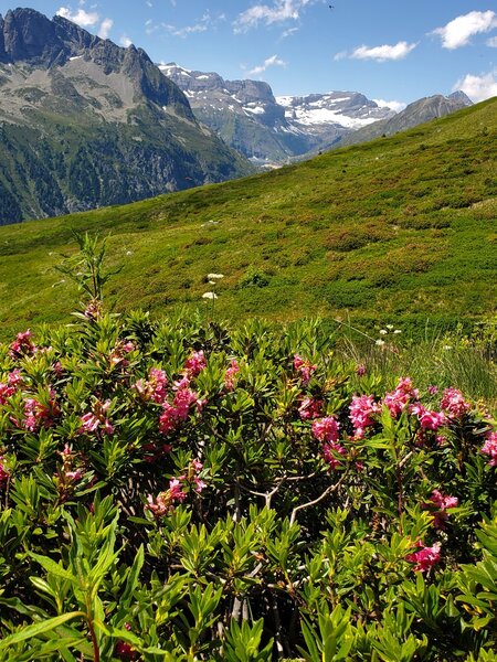 Looking north from just uphill of Col des Possettes.