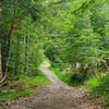 Typical trail heading down from Lac Vert.