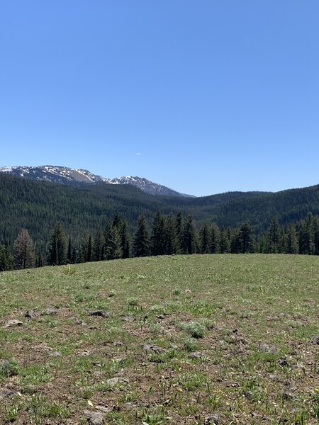 View from Logpole Trail