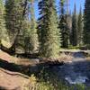 Dobbin creek is very high this spring and is getting dangerously close to washing out the dobbin trail. Very difficult to cross the creek.