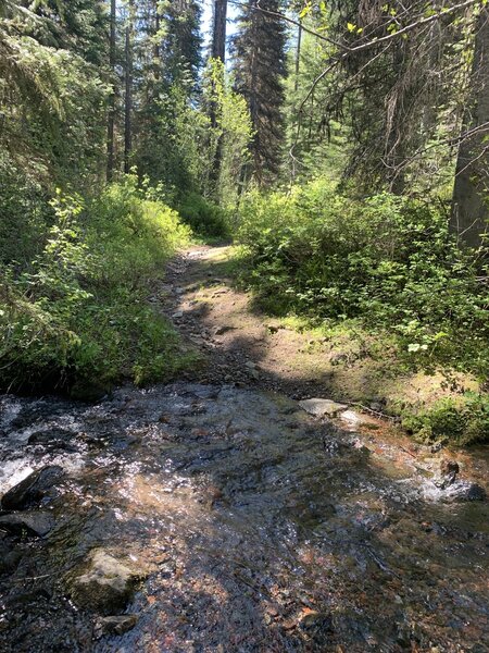 Lost of creek crossings on Lackeys Hole Trail. Some impassable this spring. 06/2022