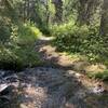 Lost of creek crossings on Lackeys Hole Trail. Some impassable this spring. 06/2022