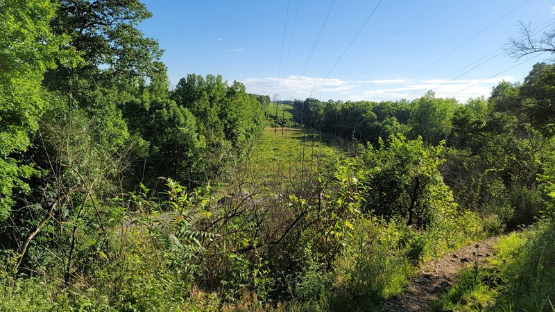 Southern section of Limestone Hill Trail.