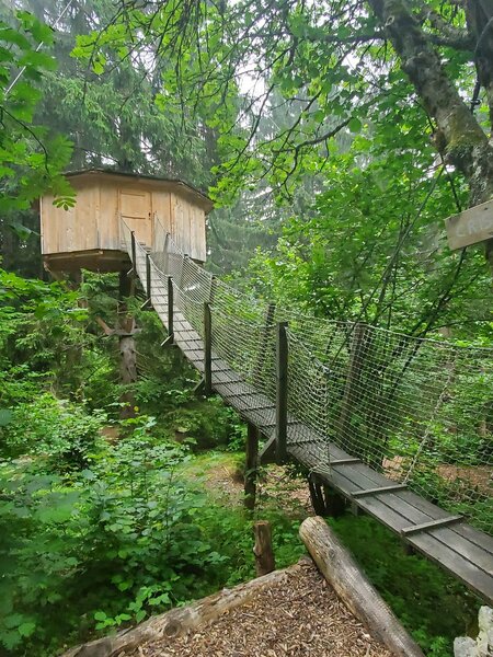 Handful of treehouses in the forest