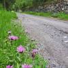 Extensive stone wall along part of the paved trail.