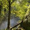 Pristine nature of Darno waterfall in Nowshahr.